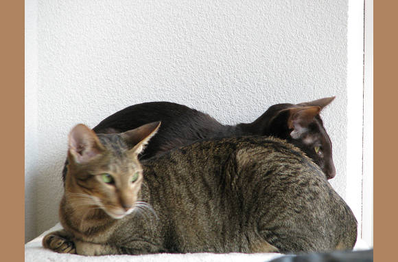 Samen op de poef.