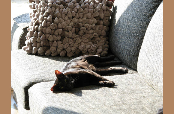 Ze is zo relaxed nu.