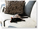 Ze is zo relaxed nu.