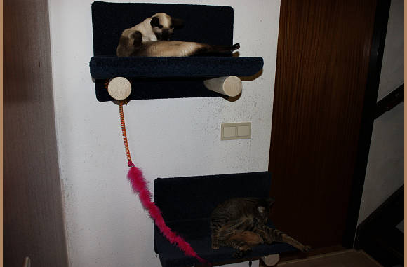 of wassen