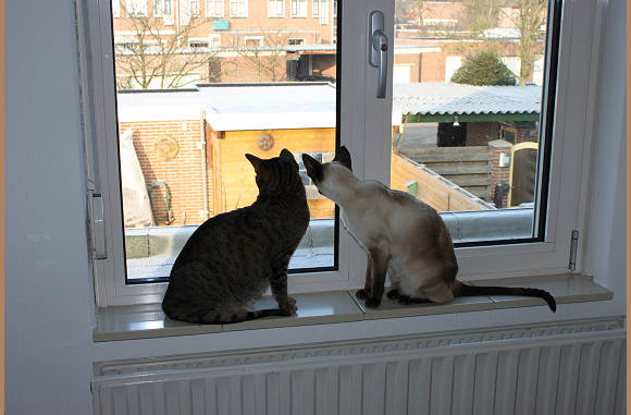 Wat zien we daar
