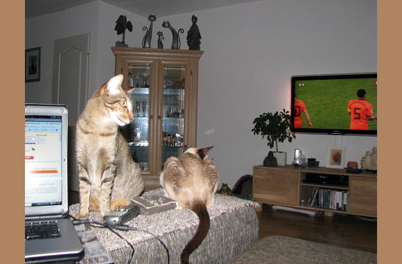 He voetbal is op