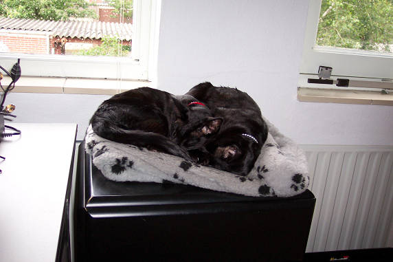 Samen kan het ook.......