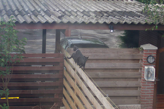 Balanceren.............