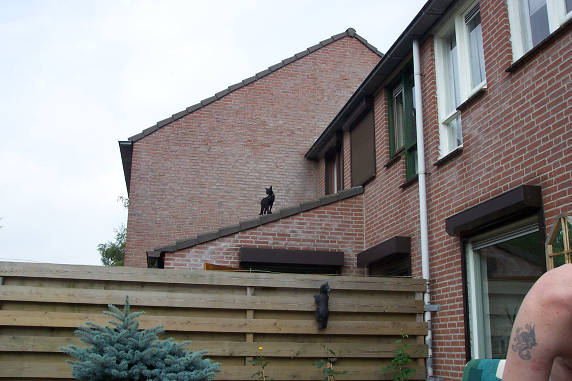 Valt best wel mee, is niet zo hoog....