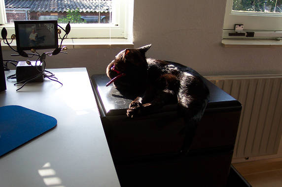 Yep, lekker de zon........