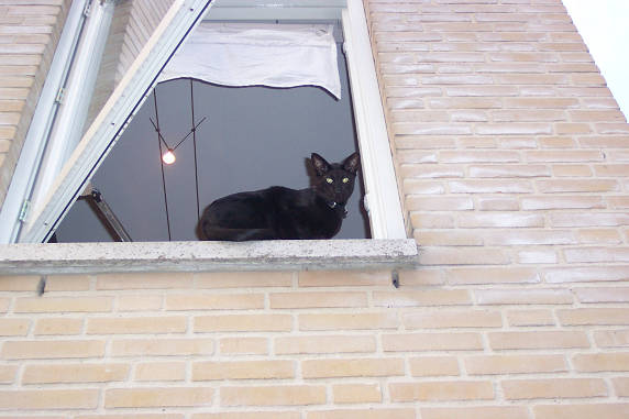 Hoog..............