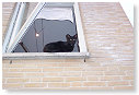 Hoog..............