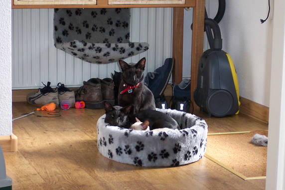 Ik pas er niet in......