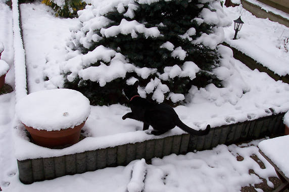 brrrrr, koud......