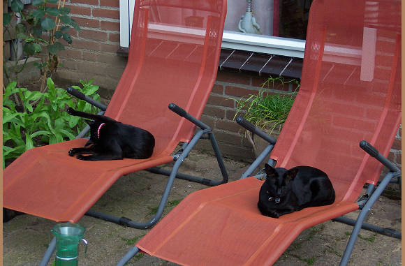 Elk een eigen ligstoel.....