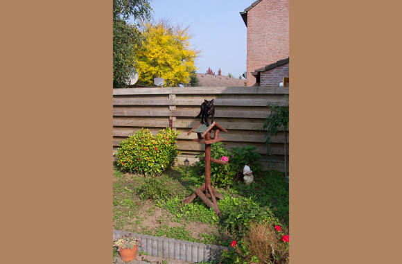Kom maar op met die vogels.....