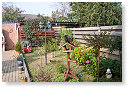 Recordhouder vogelhuiszitter.....