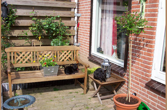 Eindelijk zomer.....