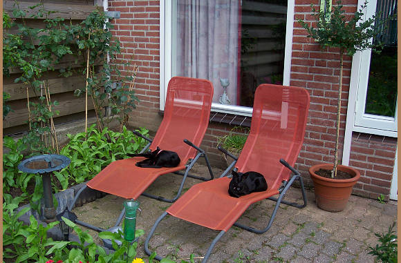 Het was toch zo lekker in de sauna.....