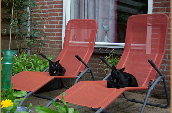 Badmeester, zijn wij al bruin......