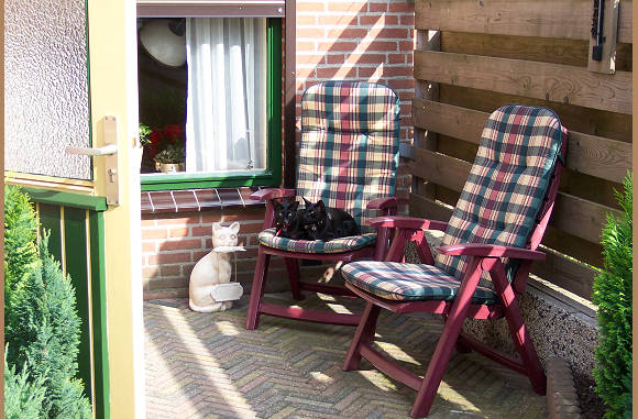 Bij de buren ligt het ook lekker......