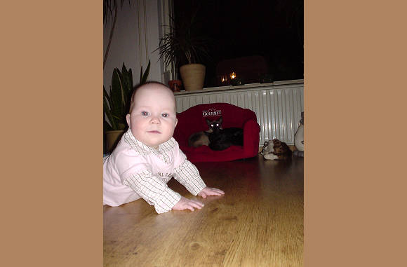 Amy, kijk eens meissie.......