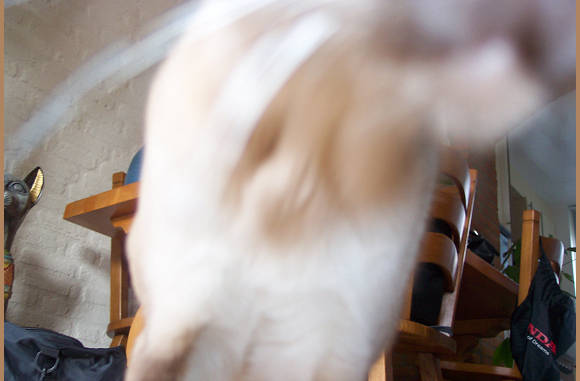 Grrrrrrr, ik lust ze rauw,  lol