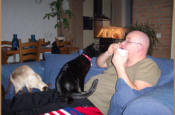 Willen jullie ook yoghurt??
