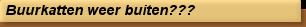 Buurkatten weer buiten???