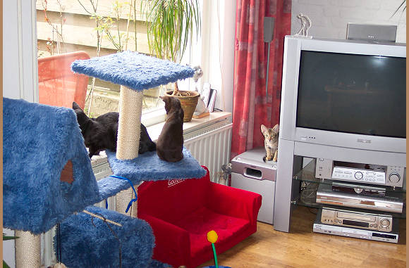 Alexa houdt alles scherp in de gaten....