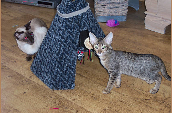 Cailin houdt haar goed in de gaten....