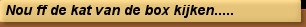 Nou ff de kat van de box kijken.....