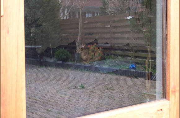 Ja, zelfs jij.......