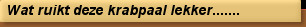 Wat ruikt deze krabpaal lekker.......