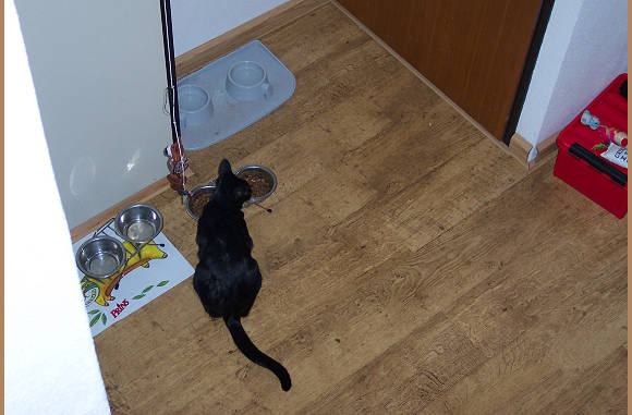 Ohhhh, die was lekker aan het eten...