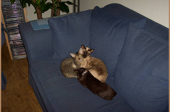 En ook warm zo'n bank......