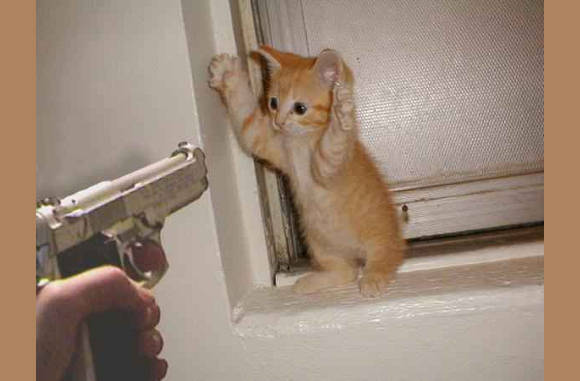 Ik geef me over!!