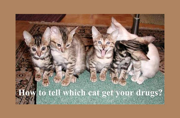 Welke is er stoned??