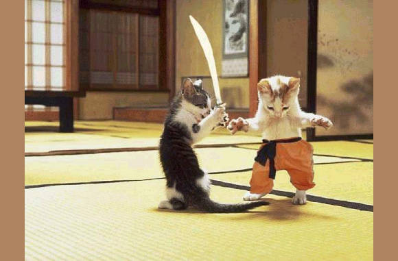 De 2e ronde!!