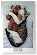 Me and my knuffel