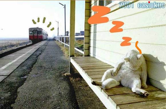 Shit, trein gemist