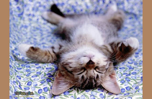 Aai me nou!!