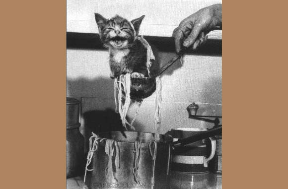 Lekker spaghetti