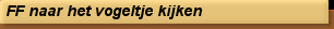 FF naar het vogeltje kijken
