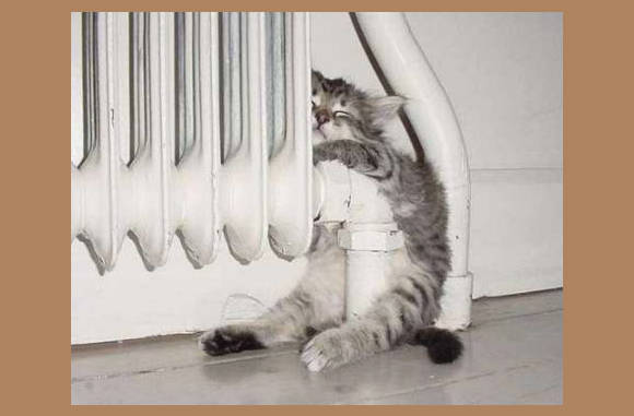 Oh lekker die verwarming!!