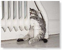 Oh lekker die verwarming!!