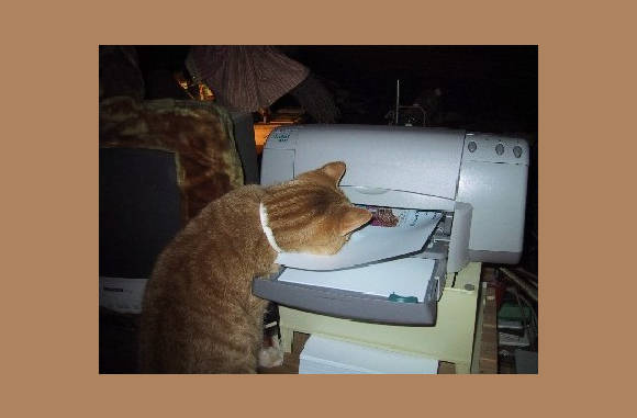 Ik  zal het papier wel uit de printer halen...