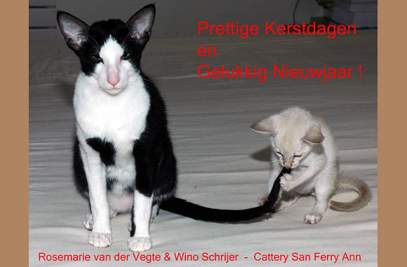 Knibbel, knabbel, knuisje.....