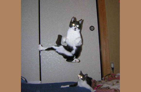Nieuwe karate move...