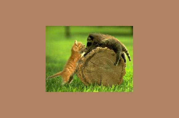 Onmogelijke liefde...