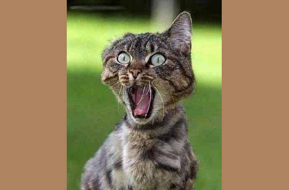 Nee, daar is ie weer!!