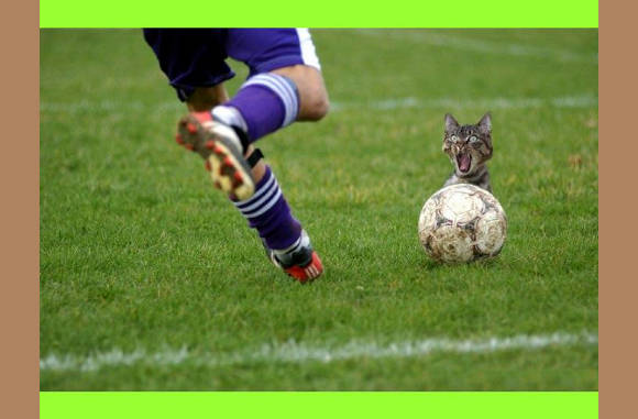 Neeeee, niet schieten...