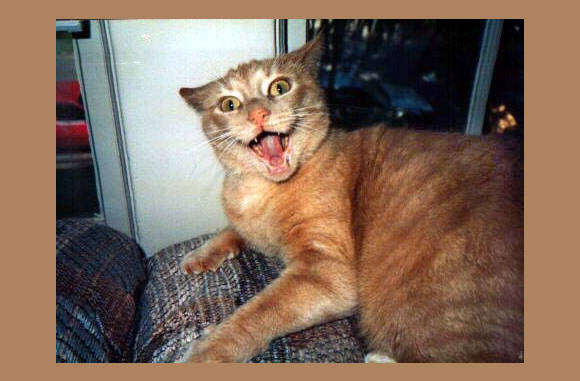 Argh, jij bent eng!!!