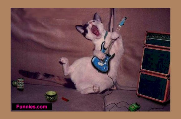 Bluf, das mijn voorbeeld!!